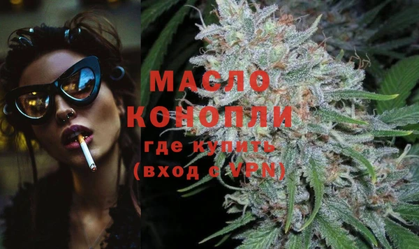 индика Ростов