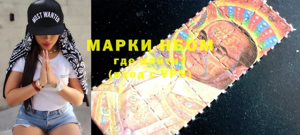 индика Ростов
